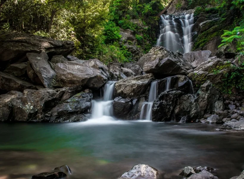 Karnataka-Wayanad